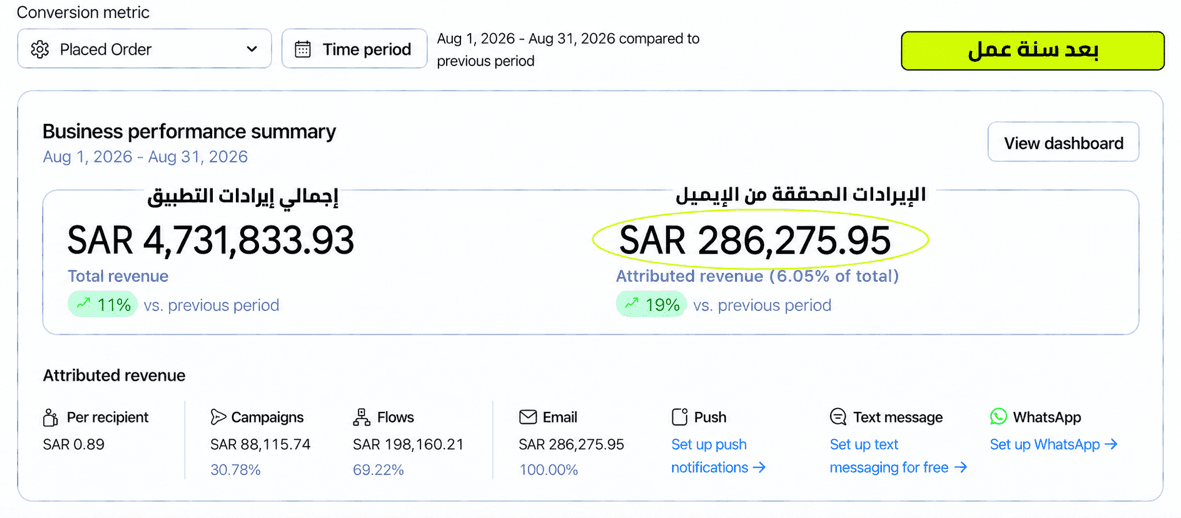 لقطة من Klaviyo لنتائج دراسة الحالة الثانية بعد سنة